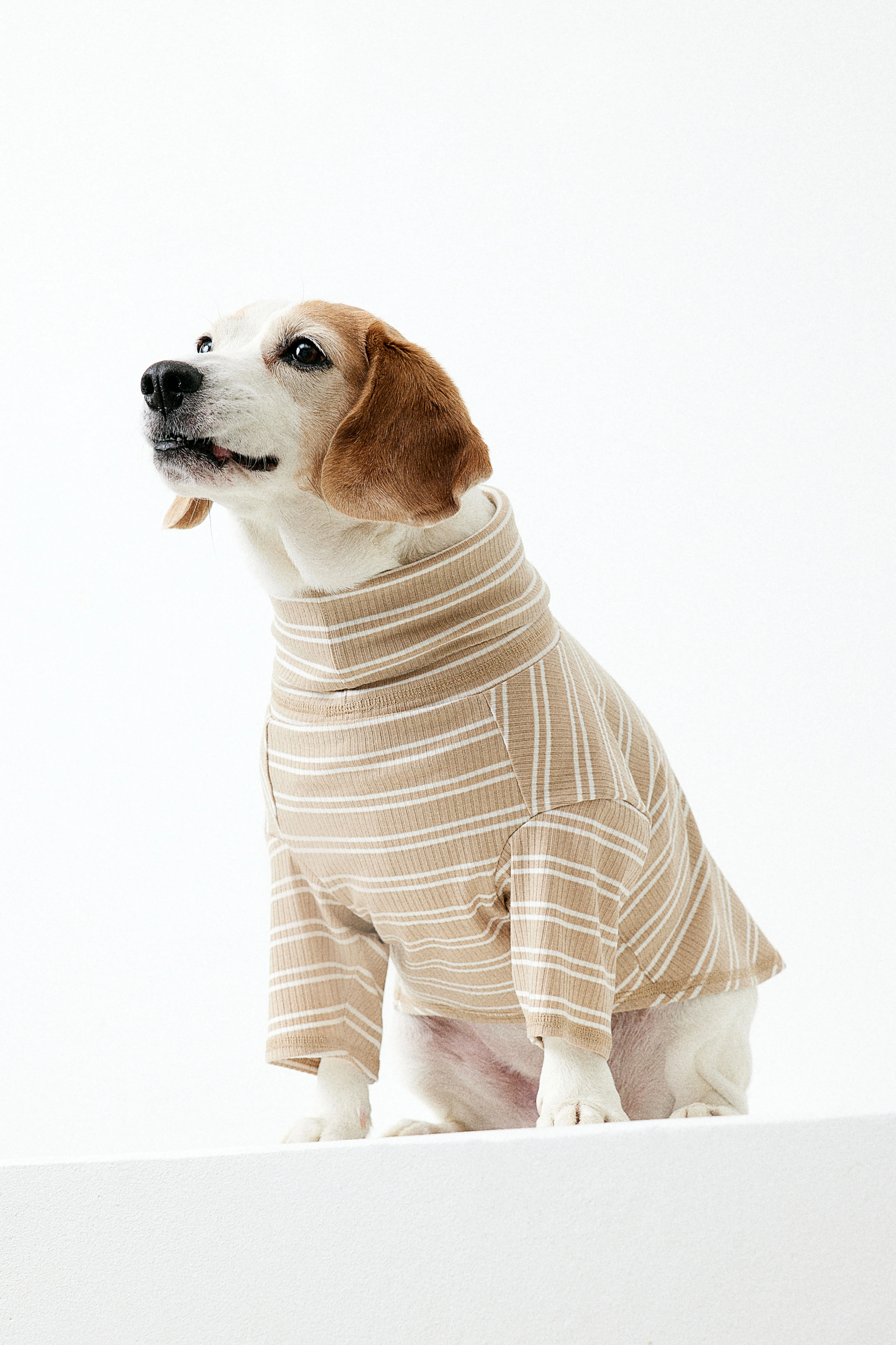 Pullover a collo alto per cani