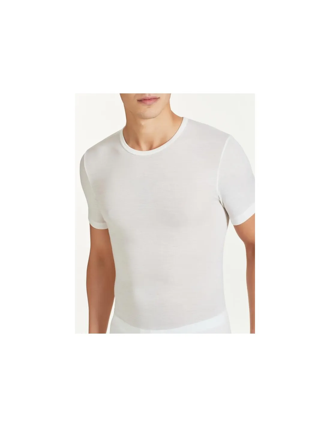 T-SHIRT UOMO IN LANA MERINO EXTRAFINE GIROCOLLO